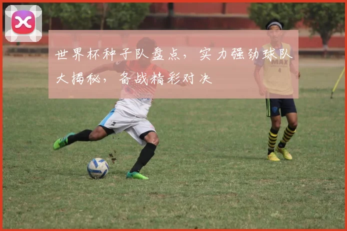 世界杯种子队盘点，实力强劲球队大揭秘，备战精彩对决