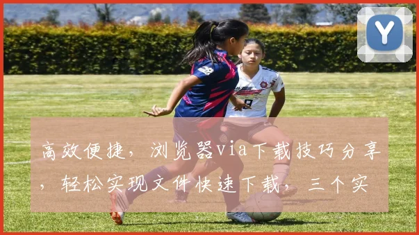 高效便捷，浏览器via下载技巧分享，轻松实现文件快速下载，三个实用方法，不容错过