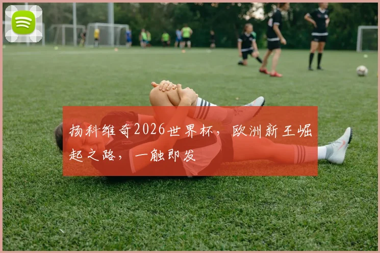 扬科维奇2026世界杯，欧洲新王崛起之路，一触即发